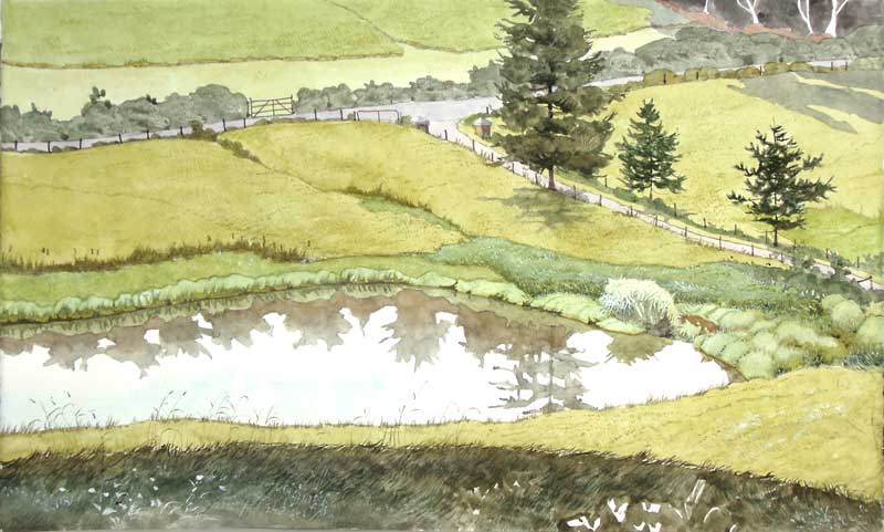 Looking Down on Kuerner's Farm Pond by Eddie Flotte