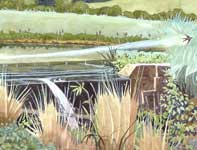 A Barn Swallow Takes A Drink Painting by Eddie Flotte: A Barn Swallow Takes A Drink