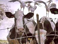 A Most Adventurous Dairy Cow 20 Painting by Eddie Flotte: A Most Adventurous Dairy Cow 20