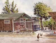Chickens at Kitada's Painting by Eddie Flotte: Chickens at Kitada's