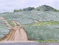Giggle Hill Painting by Eddie Flotte: Giggle Hill