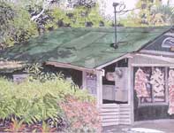 Goodie's Painting by Eddie Flotte: Goodie's