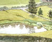 Looking Down on Kuerner's Farm Pond Painting by Eddie Flotte: Looking Down on Kuerner's Farm Pond
