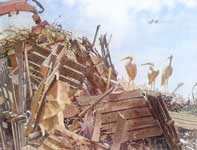 No Regrets Painting by Eddie Flotte: No Regrets