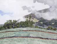 Piiholo Pineapple Fields Painting by Eddie Flotte: Piiholo Pineapple Fields