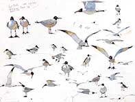 Seagulls Painting by Eddie Flotte: Seagulls
