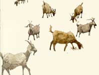 Sketches of Billy Goats Painting by Eddie Flotte: Sketches of Billy Goats