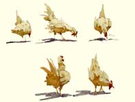Sketches of Chickens Painting by Eddie Flotte: Sketches of Chickens