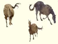Sketches of Horses, Cows, and Egrets Painting by Eddie Flotte: Sketches of Horses, Cows, and Egrets