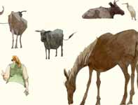 Sketches of Walking Upcountry Painting by Eddie Flotte: Sketches of Walking Upcountry