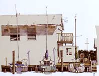 Three Florida Sailboats Painting by Eddie Flotte: Three Florida Sailboats